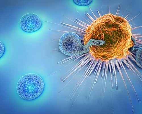 Targeted Therapy & Immunotherapy Targeted Therapy & Immunotherapy